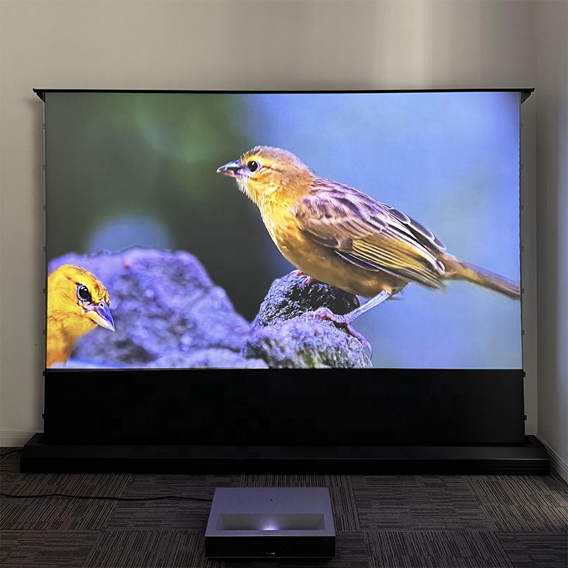 Alr Ambient Light Rejecting Projector Screen - Tela de projeção motorizada de 120
