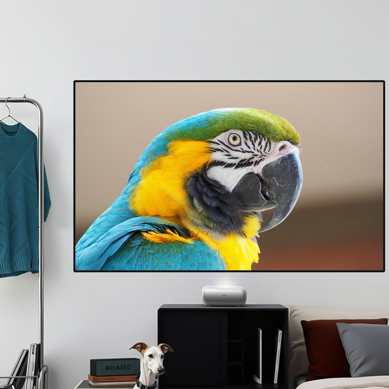 2026 quente alr pet cristal pr - Alr Ambient Light Rejecting Projector Screen avaliação e preço
